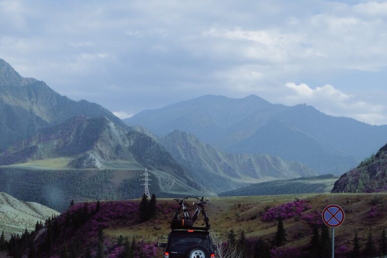 Dachträger verursacht laute Windgeräusche - was tun?