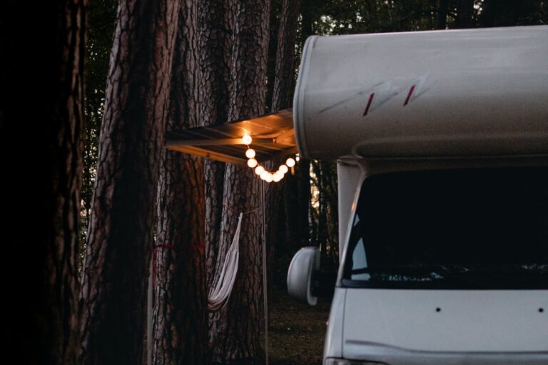 Licht im Wohnmobil flackert – das kannst du tun