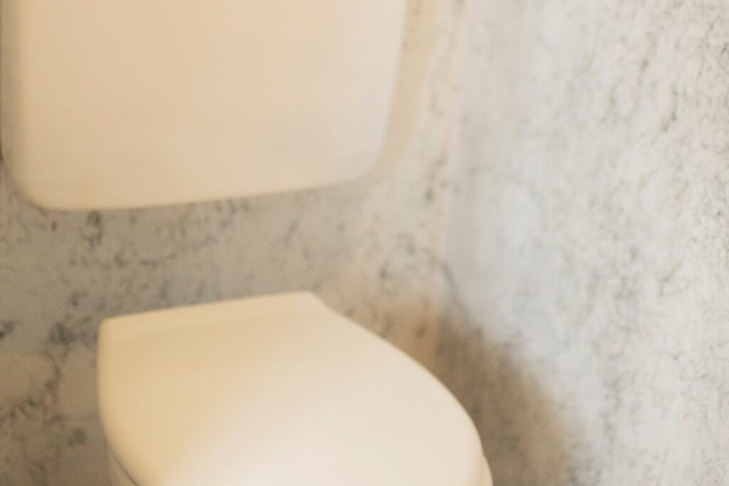 Toilettenspülung im Camper funktioniert nur unregelmäßig